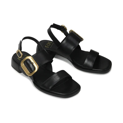 EOS TEGEAN BLACK
