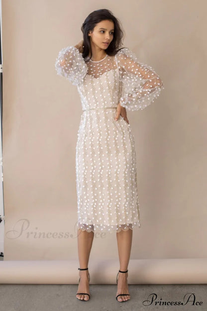 Embroidered Sheer Fitted Dress