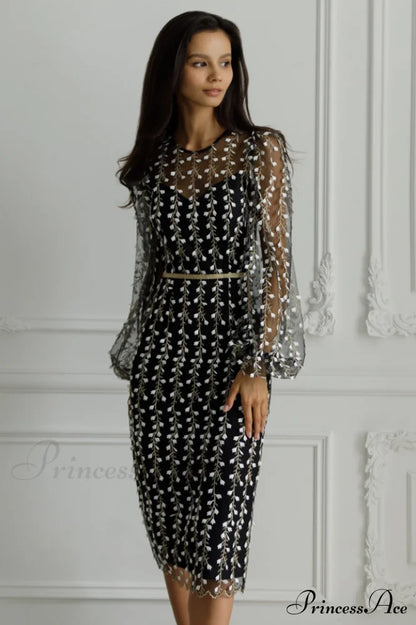 Embroidered Sheer Fitted Dress