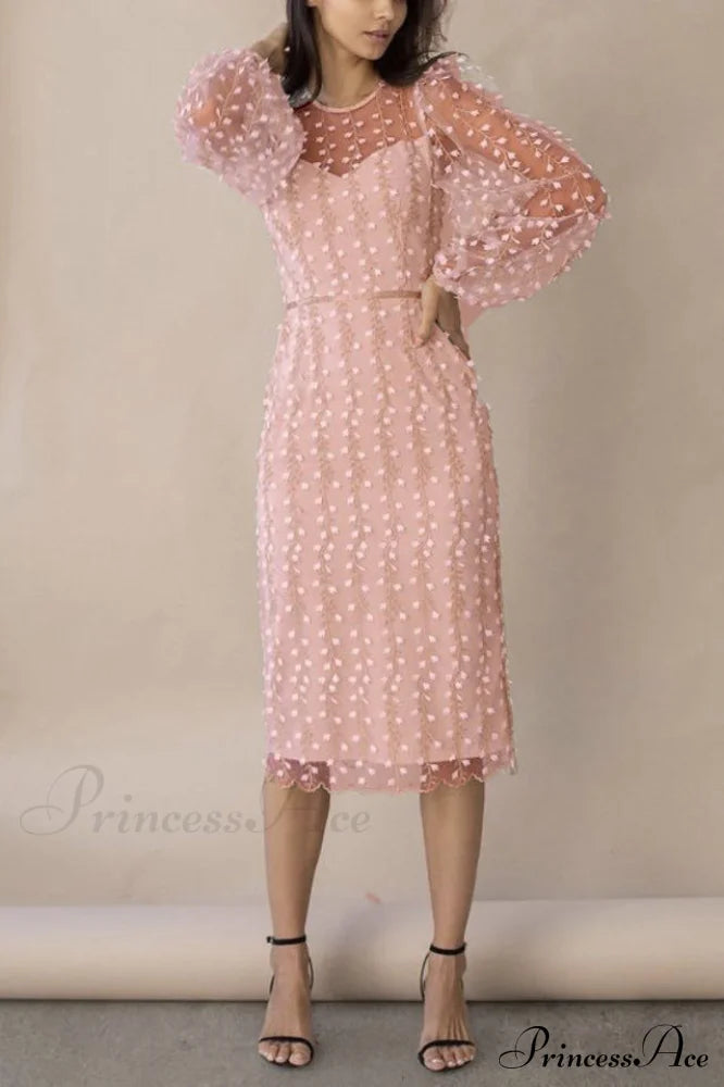 Embroidered Sheer Fitted Dress