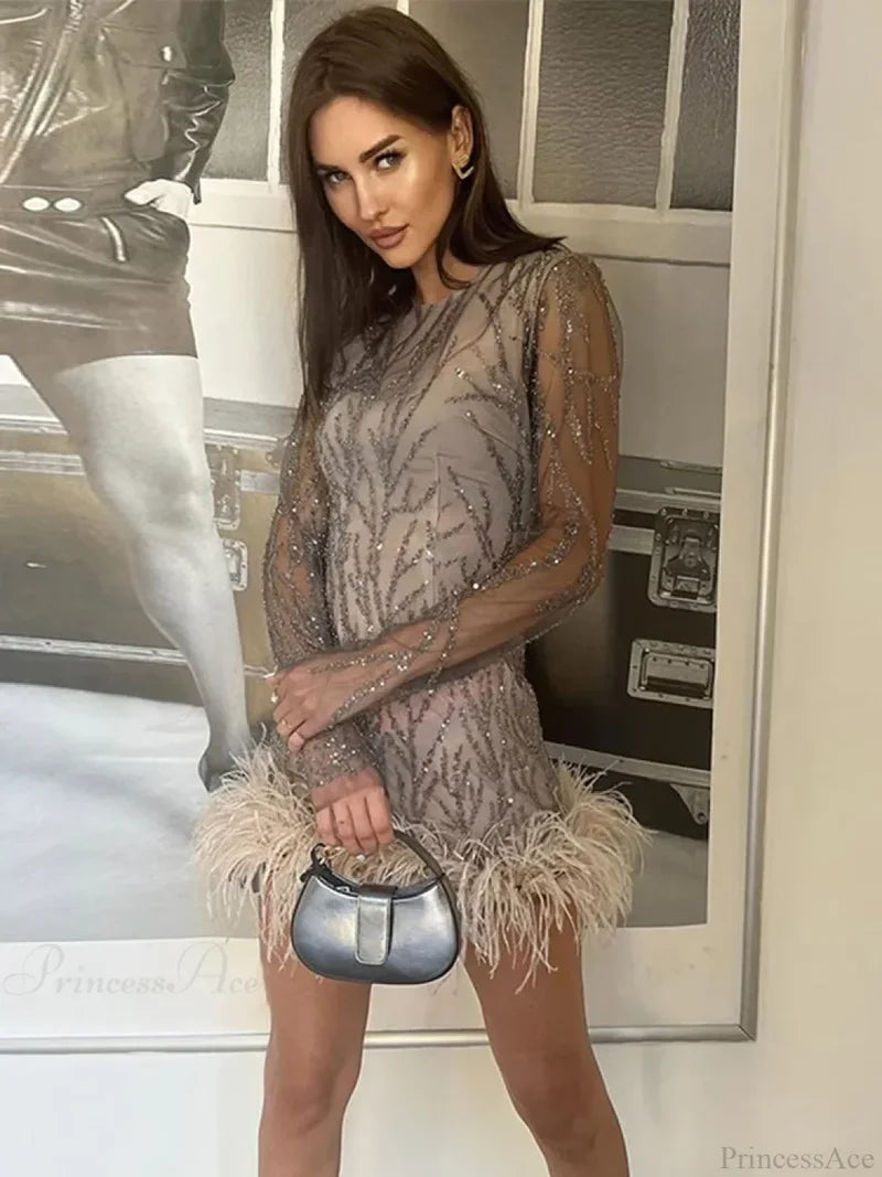 Feather Mesh Sheer Sleeve Party Dress Partydress-241208