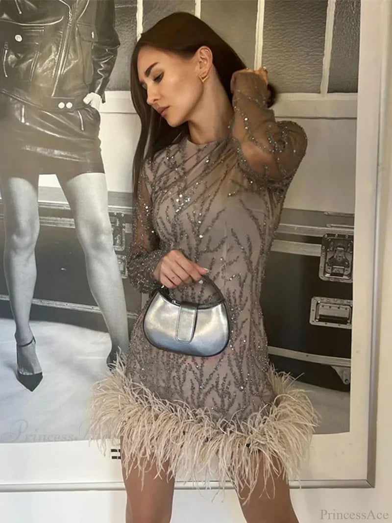 Feather Mesh Sheer Sleeve Party Dress Partydress-241208