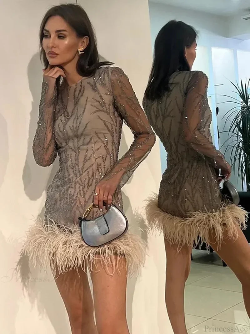 Feather Mesh Sheer Sleeve Party Dress Partydress-241208