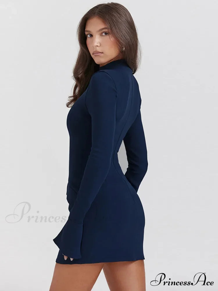 Mona Elegant Mini Dress